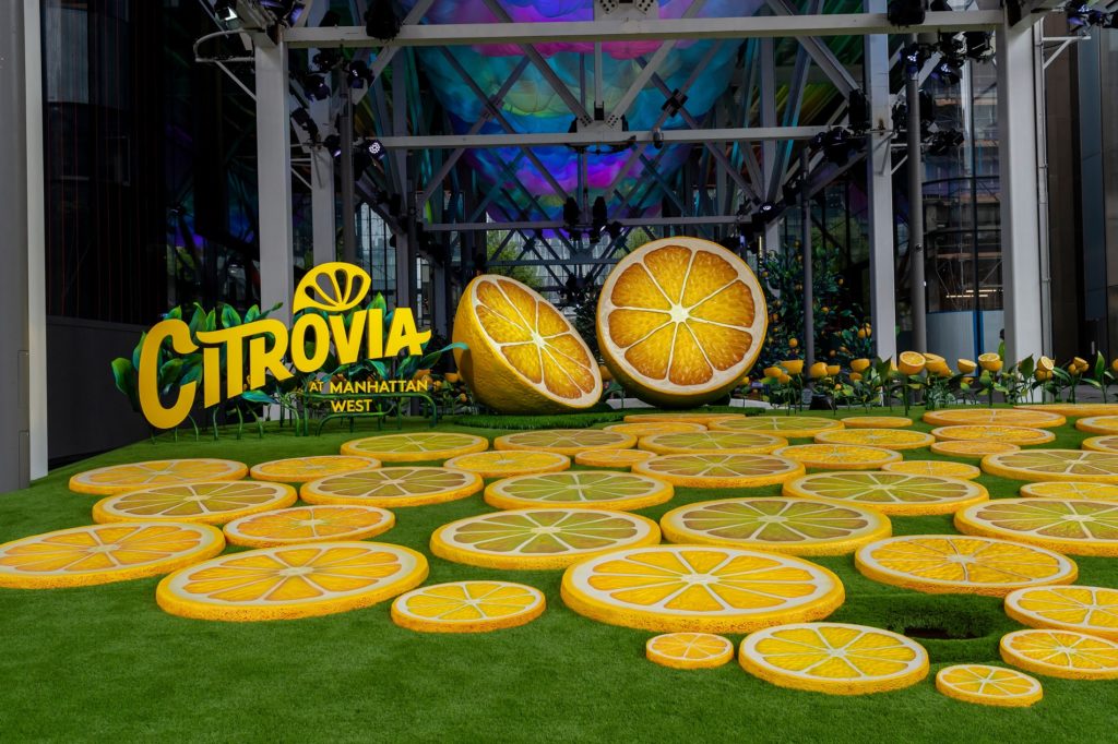 Experiental installation, giant slices of lemon on the ground