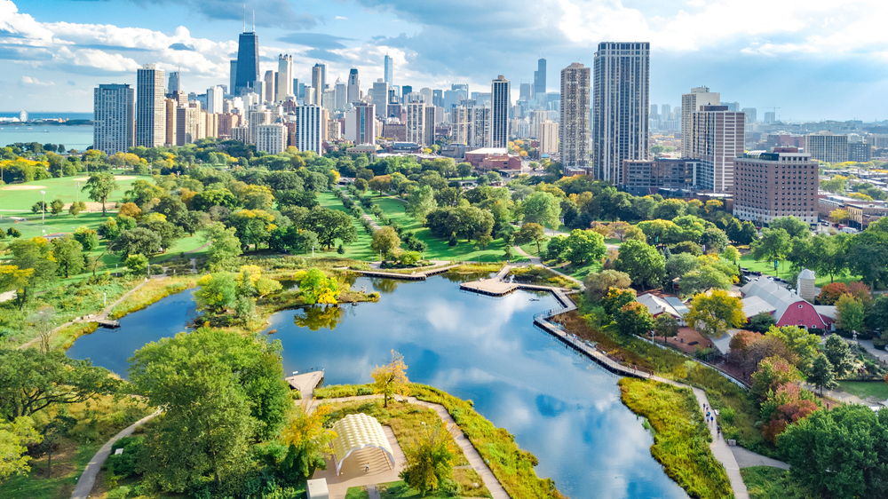 chicago skyline and water