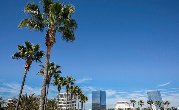 Daytime,Palm,Framed,View,Of,The,Orange,County,Downtown,Skyline