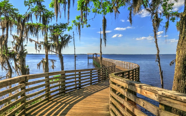Beautiful,Pier,And,Cypress,Trees,On,A,Bright,Sunny,Day