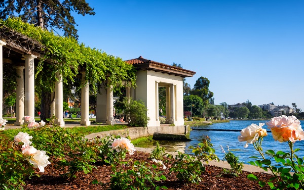 Oakland,,California,,Lake,Merritt,Historic,Rose,Arbor.,Selective,Focus,On